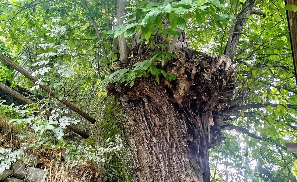 img-20241003-121847-2